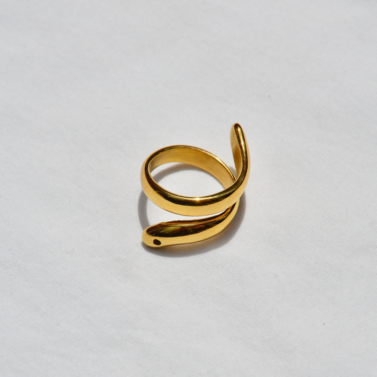 Anillo Snake