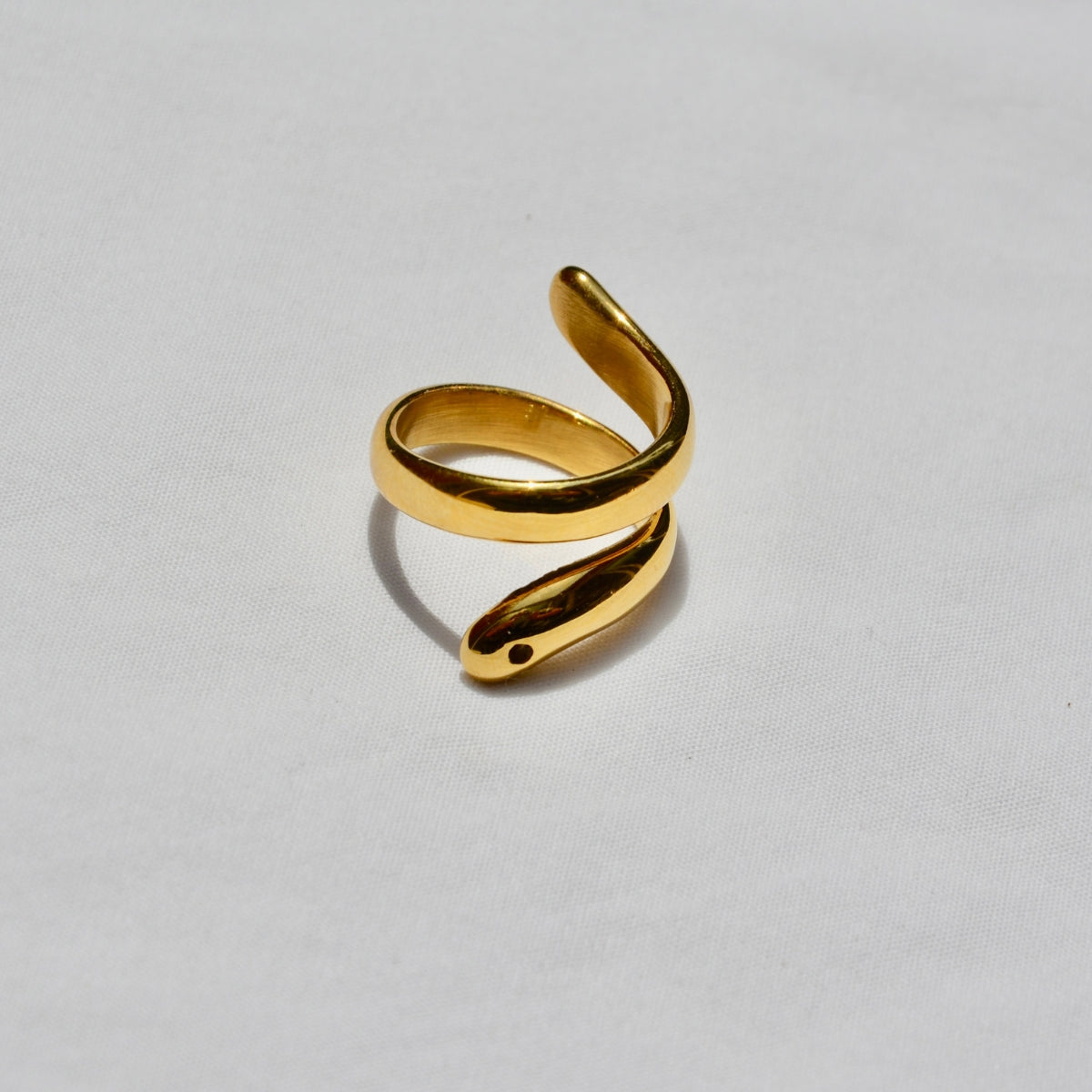 Anillo Snake