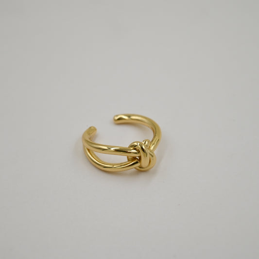 Anillo Knot