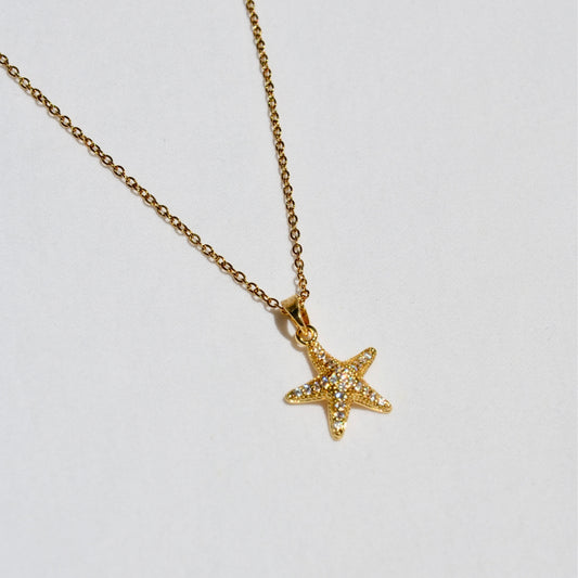 Collar Starfish