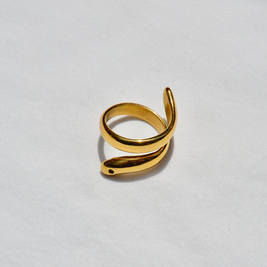 Anillo Snake